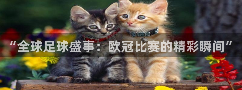 jrkan直播体育app：“全球足球盛事：欧冠比赛的精彩瞬间”