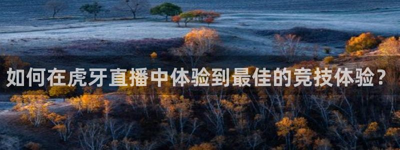 jrkan低调看高清直播nba：如何在虎牙直播中体验到最佳的竞技体验？