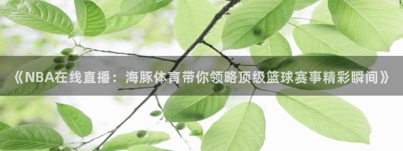jrkan2023直播体育网：《NBA在线直播：海豚体育带你领略顶级篮球赛事精彩瞬间》