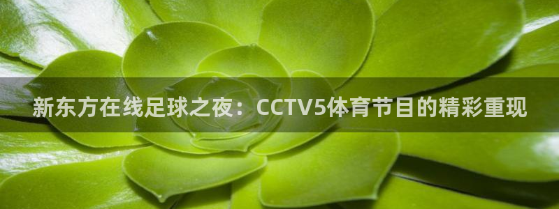 jrkan直播体育网nba：新东方在线足球之夜：CCTV5体育节目的精彩重现